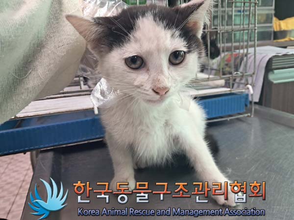 종료(기증) 한국 …