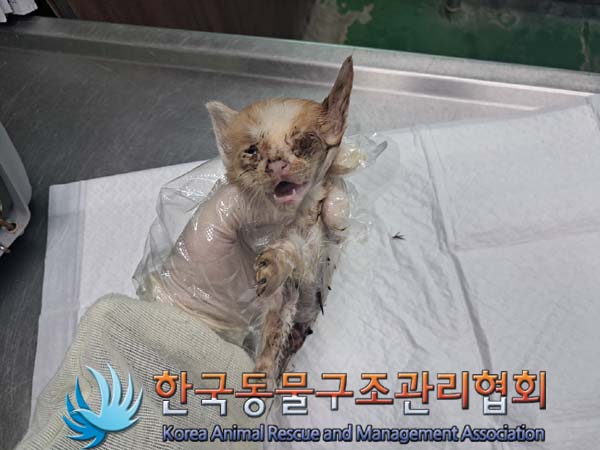 한국동물구조관리협회_441409202401209