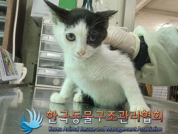 한국동물구조관리협회_441414202400600
