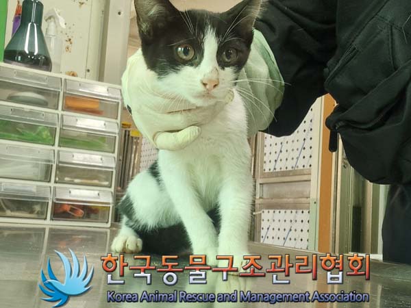 한국동물구조관리협회_441414202400601