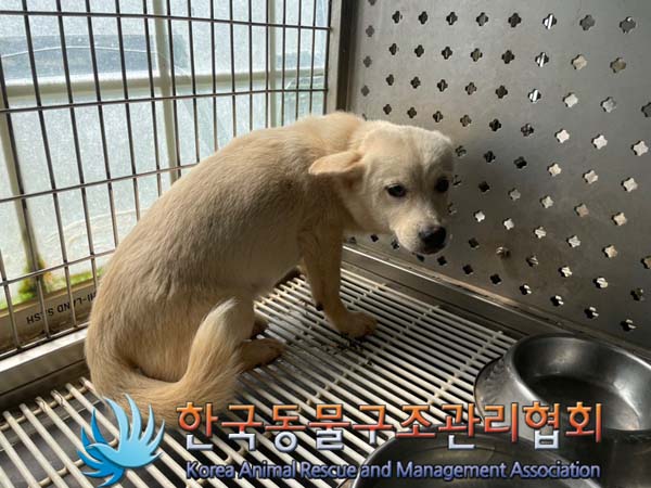 한국동물구조관리협회_441414202400597