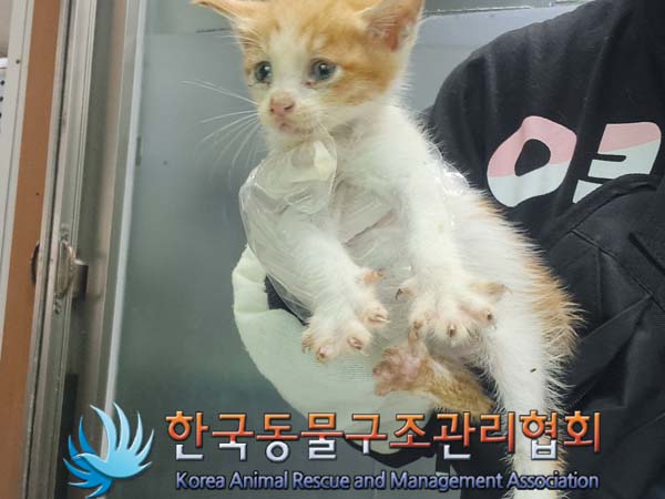 종료(자연사) 한국…