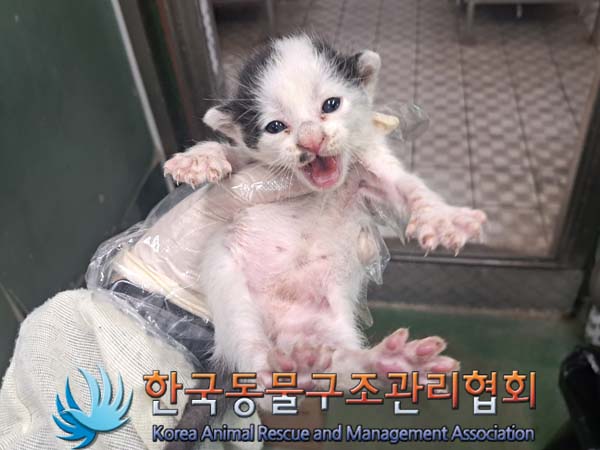 한국동물구조관리협회_411310202400583
