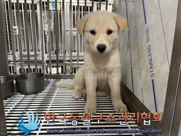 한국동물구조관리협회_441560202400836