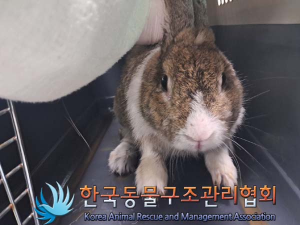 한국동물구조관리협회_411301202400266