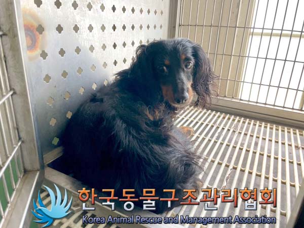 한국동물구조관리협회_441392202400225