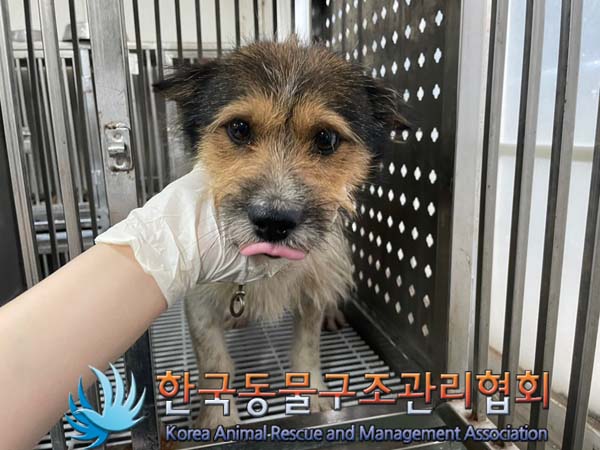 한국동물구조관리협회_441560202400838