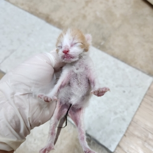 제주 동물보호센터_450650202402300