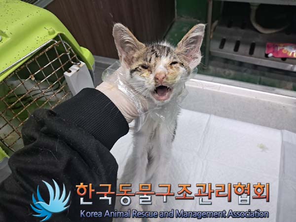 종료(자연사) 한국…