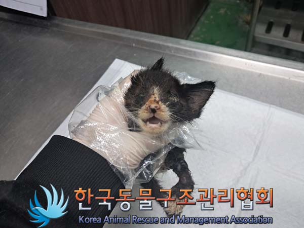 종료(자연사) 한국…