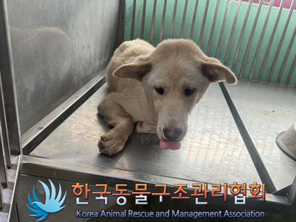 한국동물구조관리협회_441404202400396