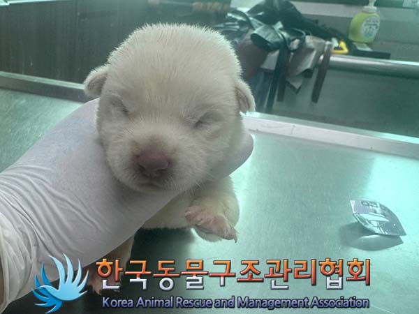 종료(자연사) 믹스…