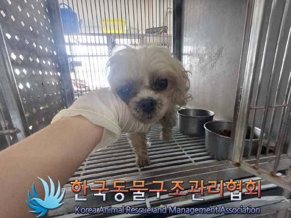 종료(안락사) 믹스…