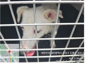 종료(반환) 잭 러…