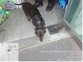 종료(자연사) 미니…