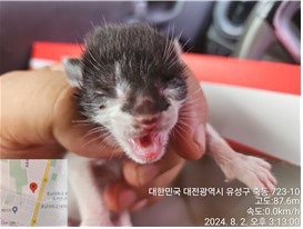 대전동물보호센터_430367202400541