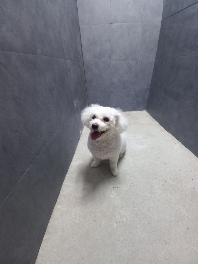 이성준동물병원_441408202401062