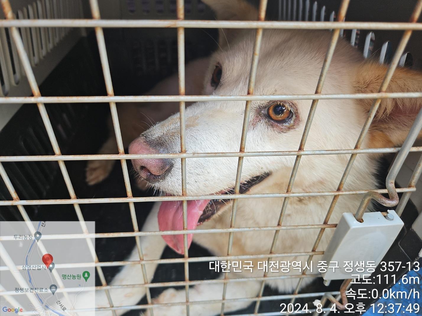 종료(자연사) 진도…