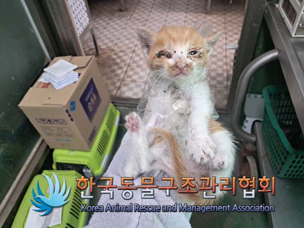 종료(자연사) 한국…
