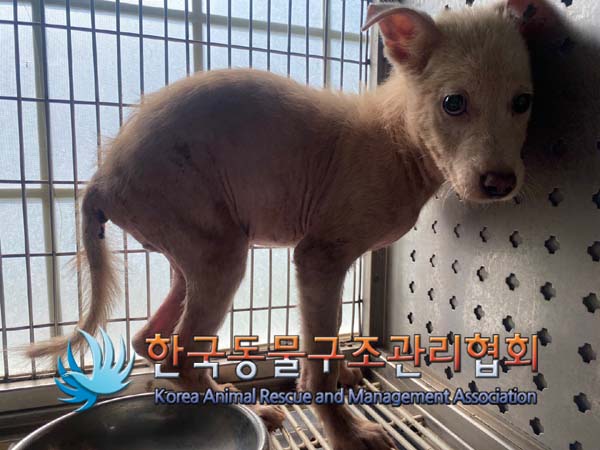 한국동물구조관리협회_441414202400606