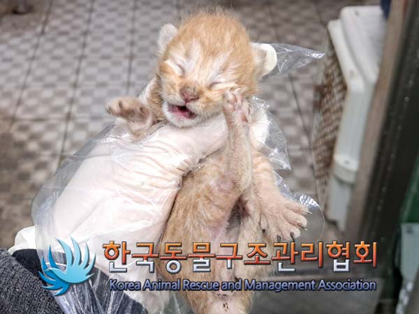 종료(자연사) 한국…