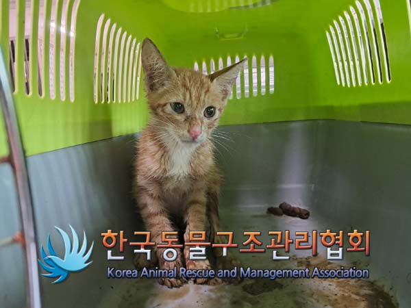 종료(자연사) 한국…