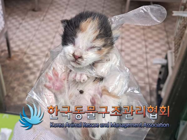종료(자연사) 한국…