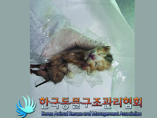 종료(자연사) 한국…