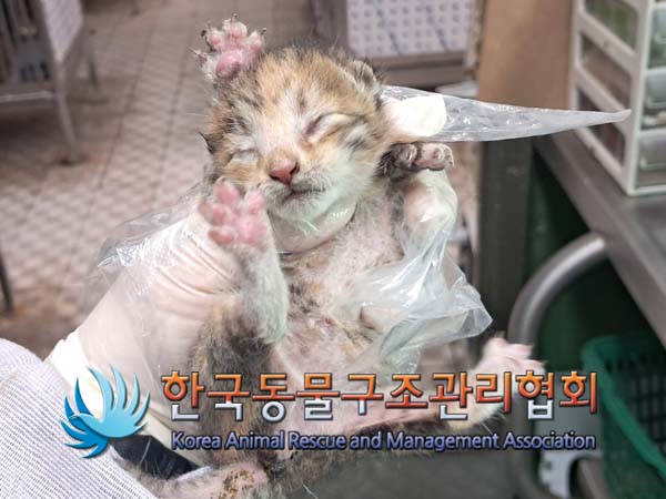 종료(자연사) 한국…