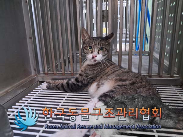 종료(자연사) 한국…