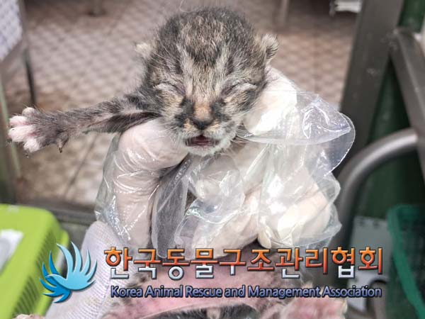 종료(자연사) 한국…