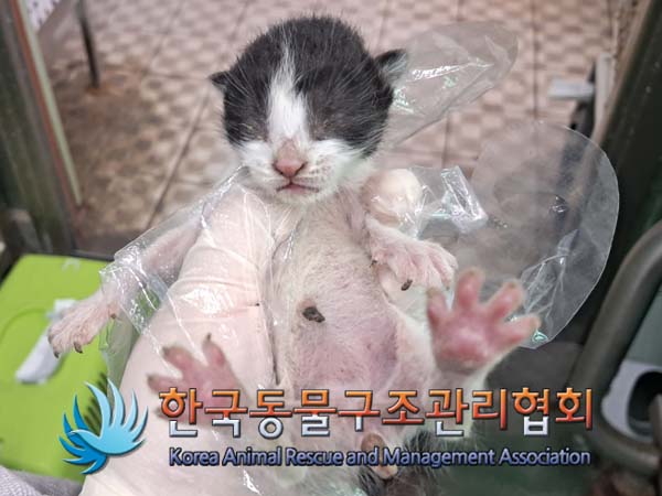 종료(자연사) 한국…