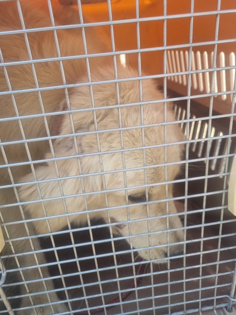 군위종합동물병원_427514202400421
