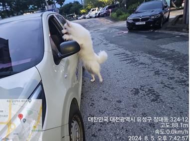 종료(반환) 사모예…