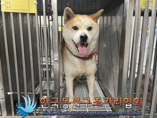 한국동물구조관리협회_411305202400461