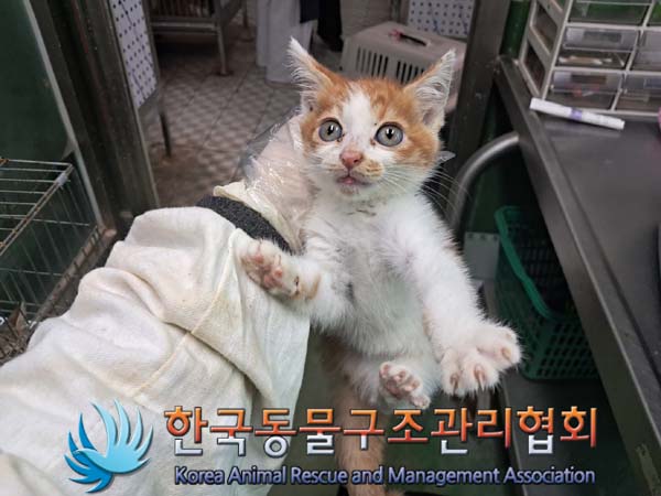 종료(자연사) 한국…