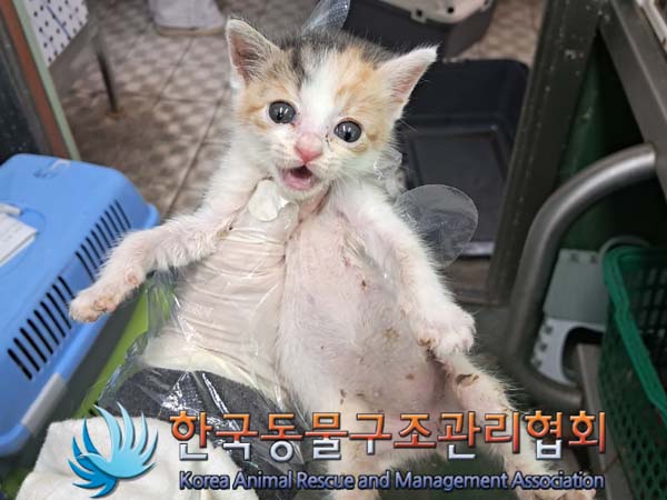 종료(자연사) 한국…
