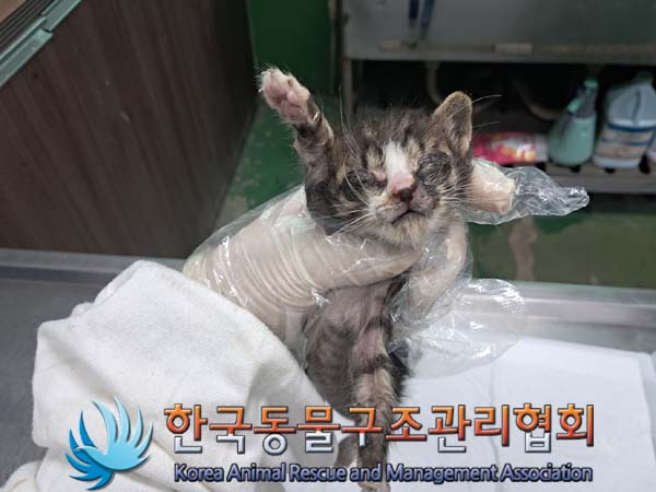 종료(자연사) 한국…