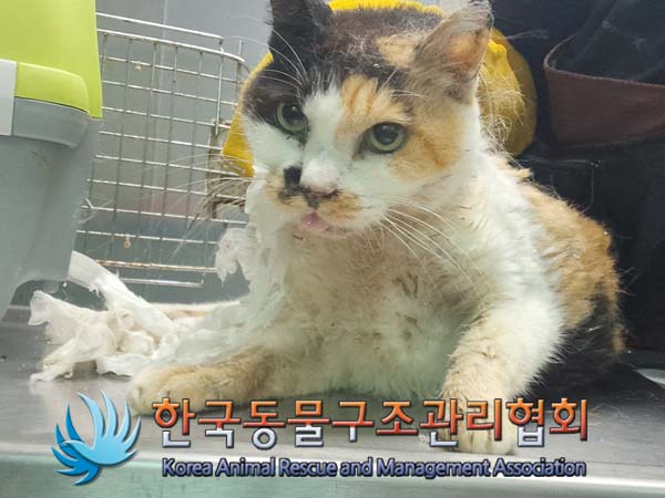종료(자연사) 한국…