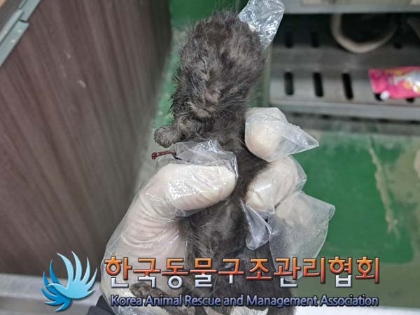 종료(자연사) 한국…