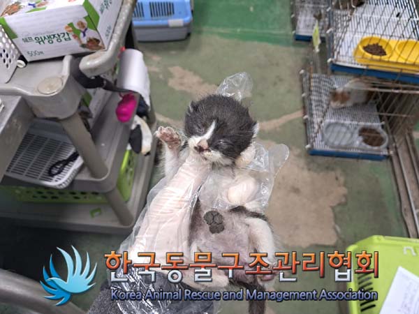 종료(자연사) 한국…