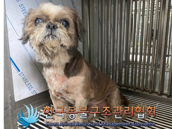 한국동물구조관리협회_441382202400640