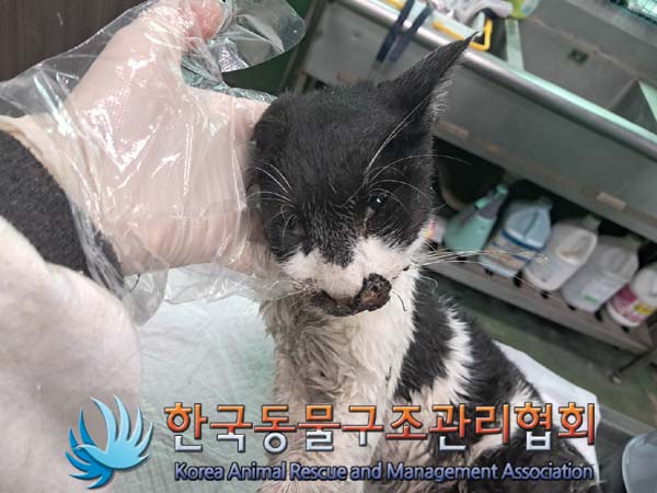 종료(자연사) 한국…
