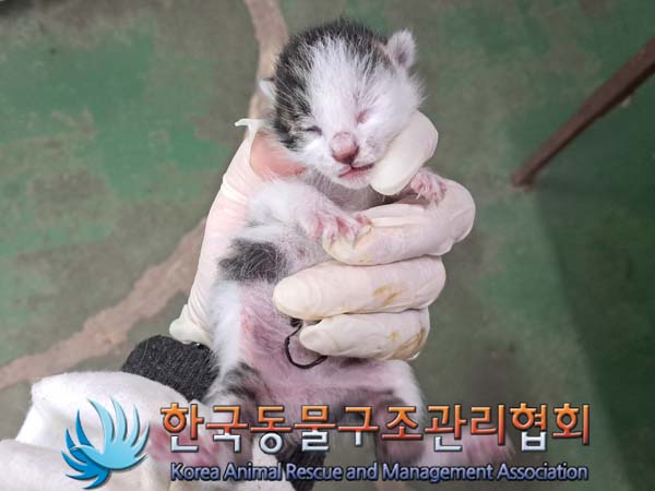 종료(자연사) 한국…