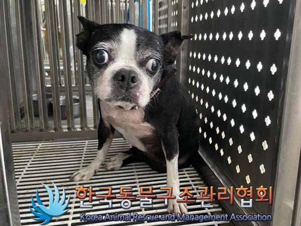 종료(반환) 프렌치…