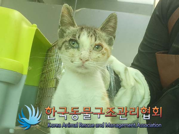 한국동물구조관리협회_441409202401229