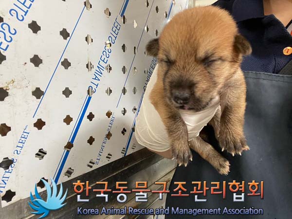 종료(자연사) 믹스…