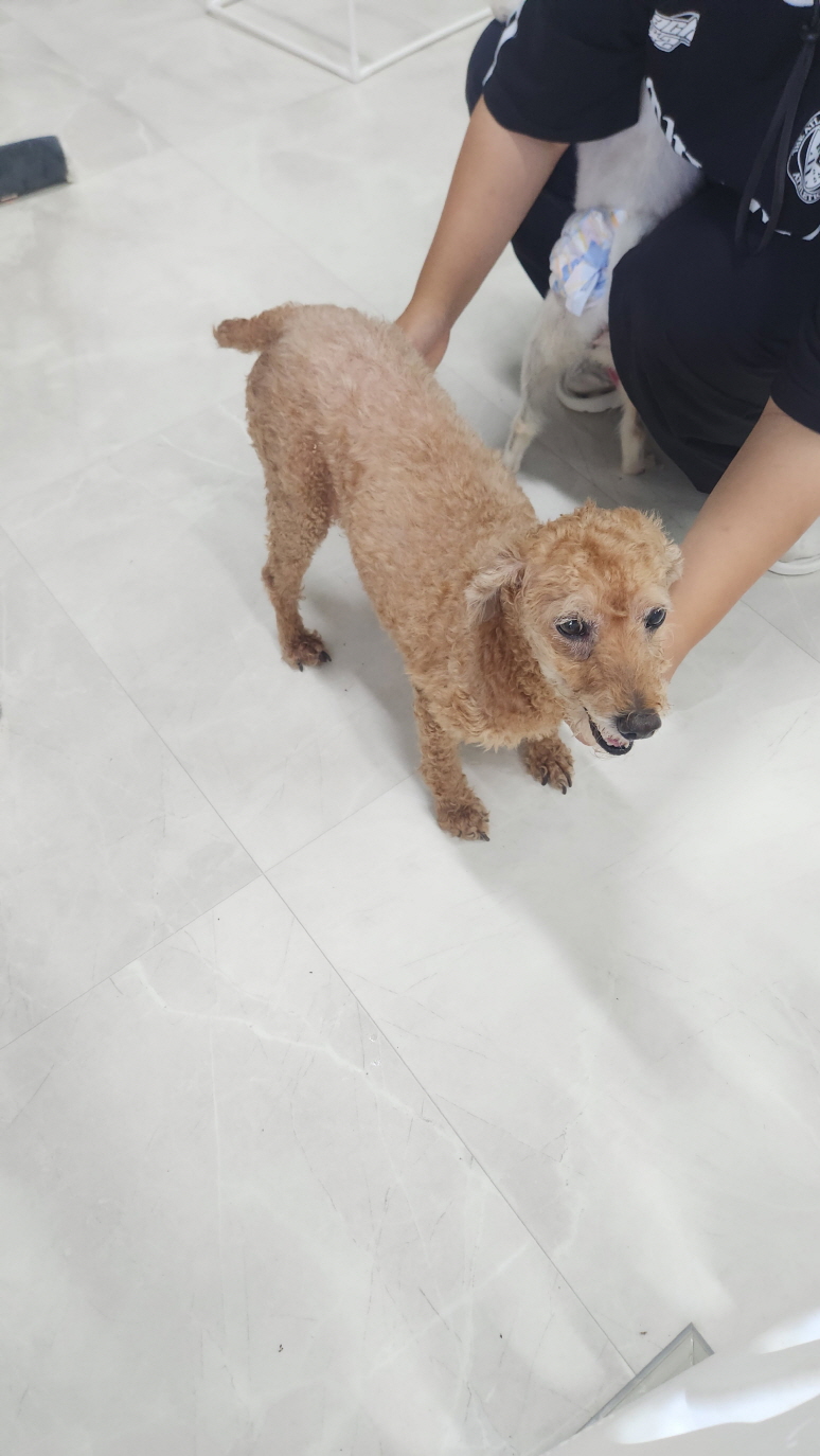 익산유기동물보호소_445468202402140