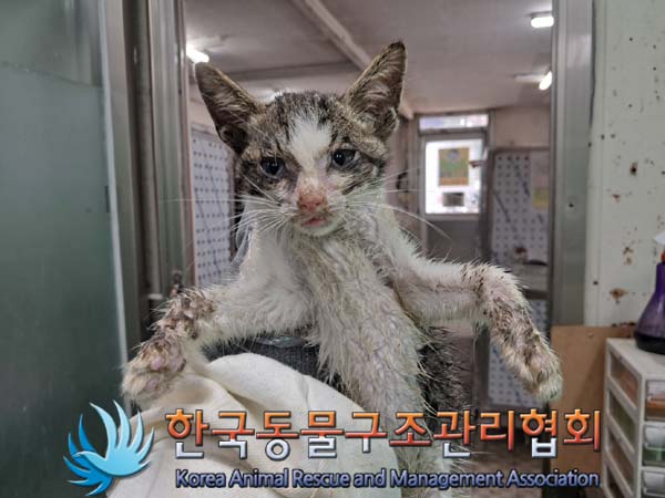 한국동물구조관리협회_441409202401230