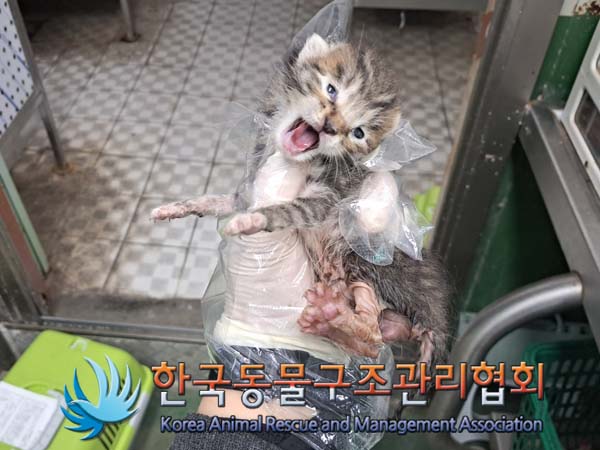 한국동물구조관리협회_441406202401317